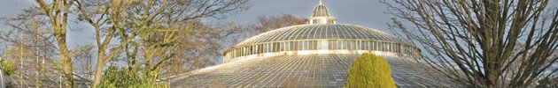 Kibble Palace from SE